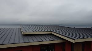 Best Storm Damage Roof Repair  in Navy, VA